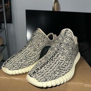 YEEZY Turtle Dove